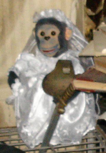 HMH 2004 Monkey Bride 3